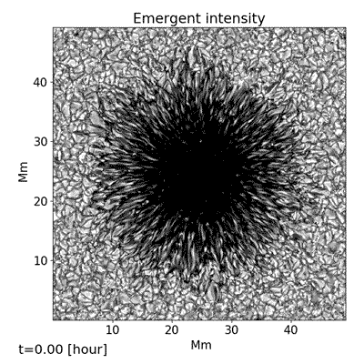 This sunspot simulation models the amount of radiation being emitted from the surface of the Sun.